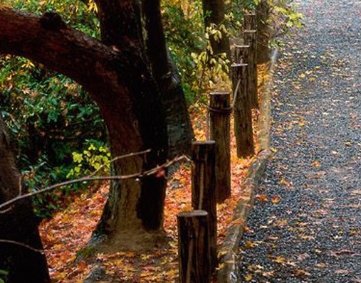 粉象生活用户量
