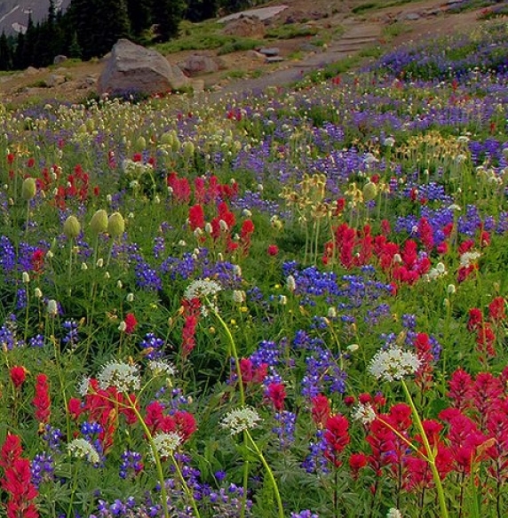 啤酒打开后多久不能喝