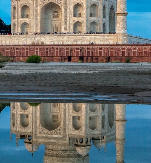 粉象0元购为什么不能购买