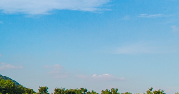 粉象成了合伙人