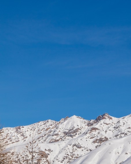 粉象生活最高佣金能拿到多少