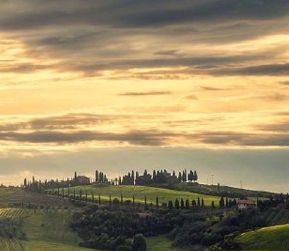 粉象生活靠什么盈利