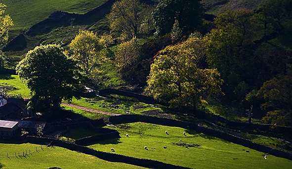 义乌小商品直销超市