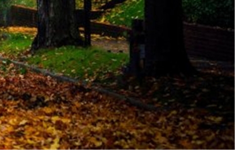 沈阳形象设计工作室