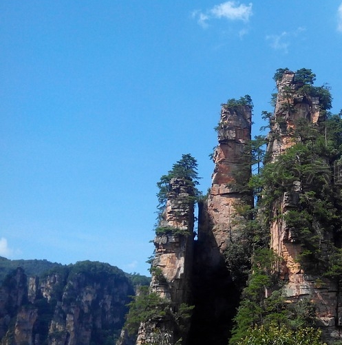 浅粉象啤酒介绍