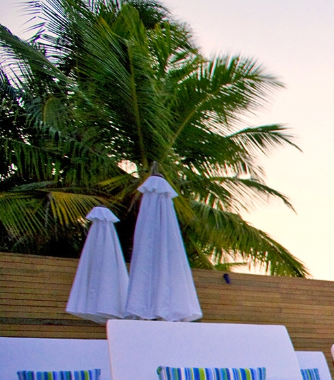 粉象生活每个月交多少钱