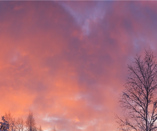 雷允上西洋参片怎么样