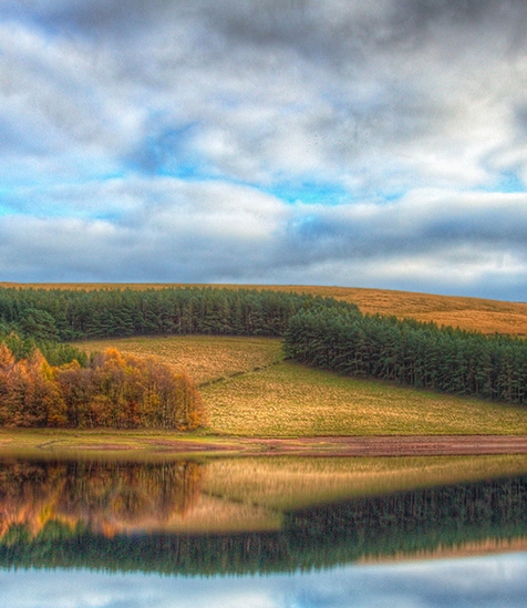 商家如何入驻粉象