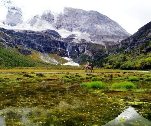 粉象生活工作怎么样