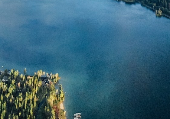 粉象生活的盈利模式是什么