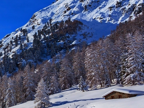 比利时浅粉象啤酒好喝吗