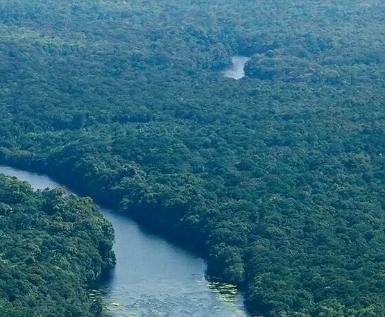 粉象生活如何成为vip