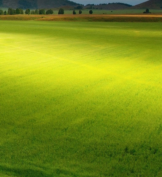 苹果助手电脑版下载安装
