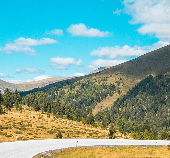粉象啤酒多少钱一瓶