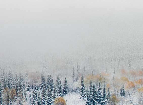 苹果手机安装app