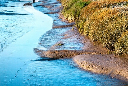 比利时深粉象啤酒价格