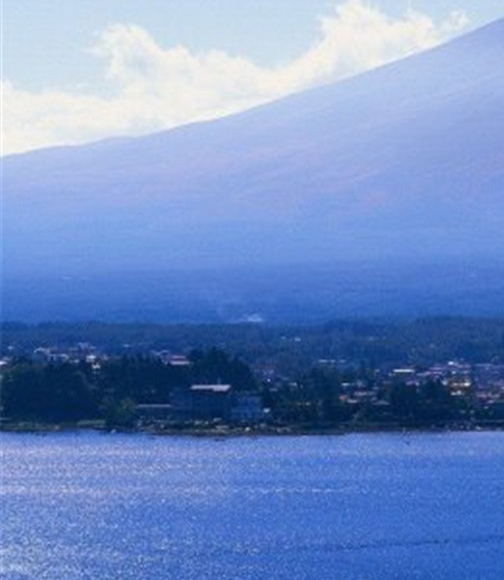 比利时深粉象啤酒好喝不