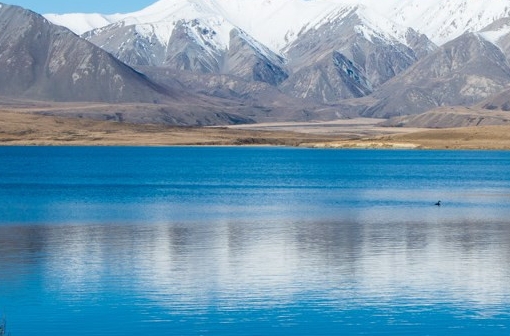 粉象生活的积分有什么用