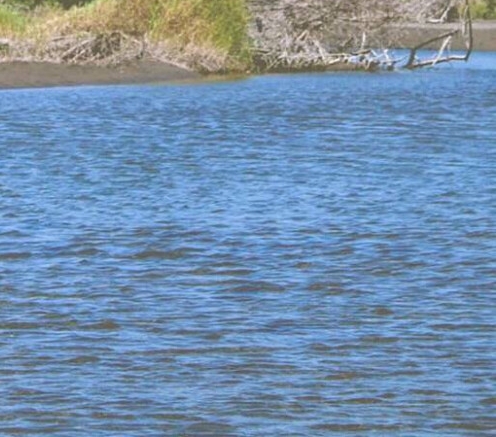 粉象苹果手机下载安装