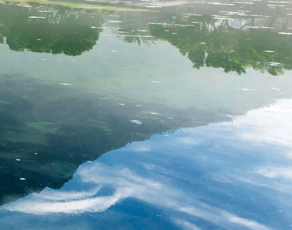 粉象生活好不好用