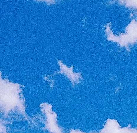 比利时小麦白啤酒