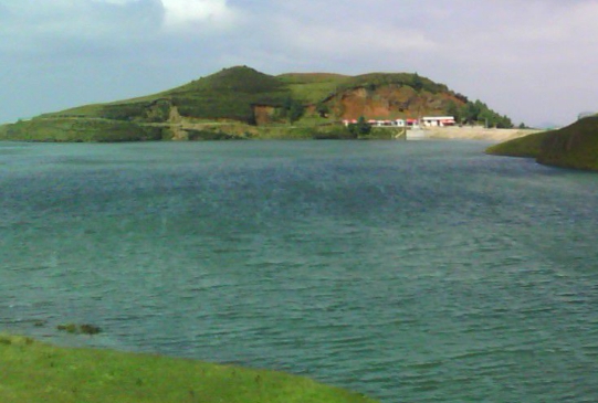 粉象生活最新消息