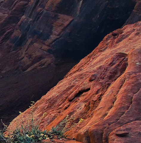 粉象是什么平台