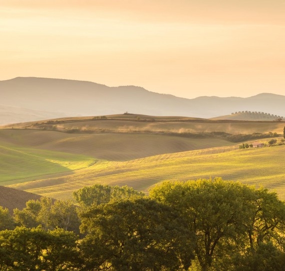 环球捕手和粉象生活有什么区别