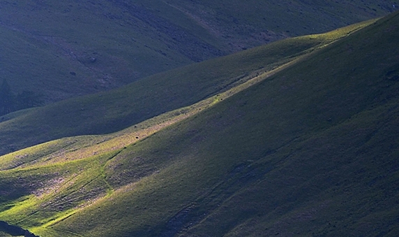 粉象现在有多少用户