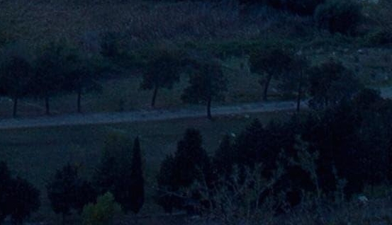 怎么在苹果手机上下载安卓手机的软件