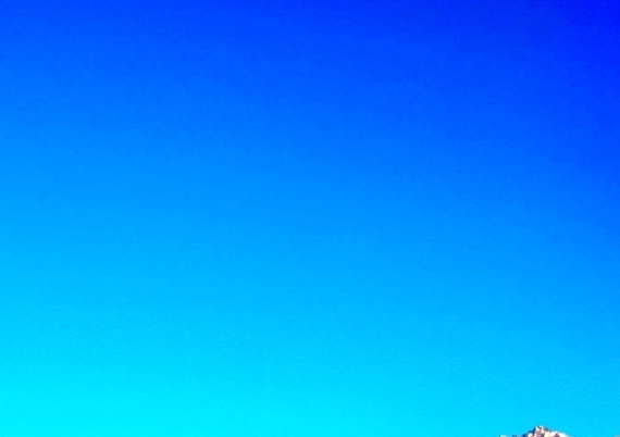 用粉象最多是哪里