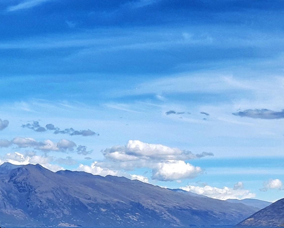 粉象生活是个什么东西