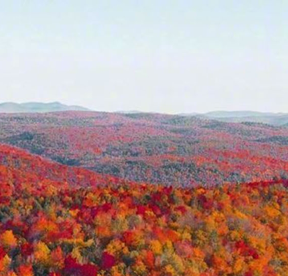 粉象生活邀请码怎么选