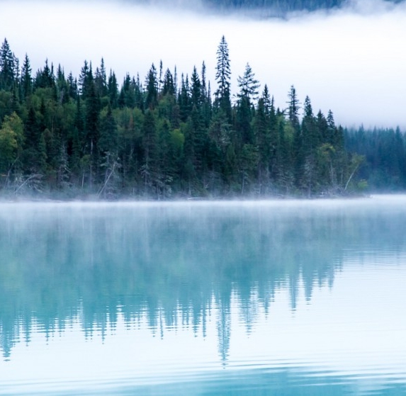 粉象啤酒生产日期