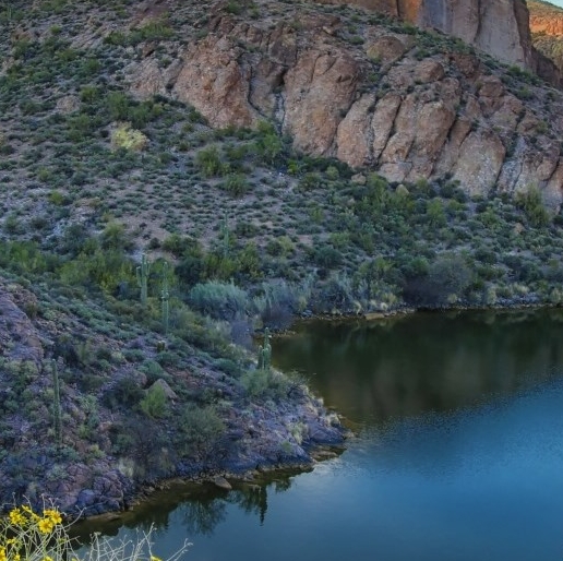粉象生活怎么赚钱