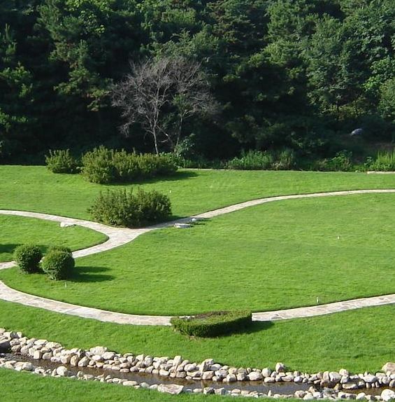 粉象为什么用邀请码