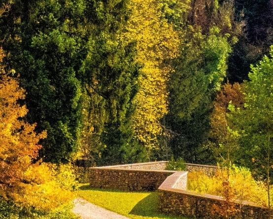 粉象生活红包口令