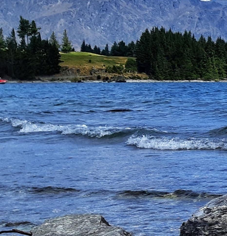 环球捕手是合法的吗