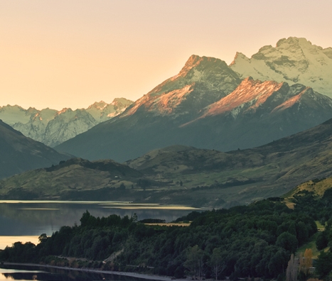 酒吧 粉象多钱一瓶