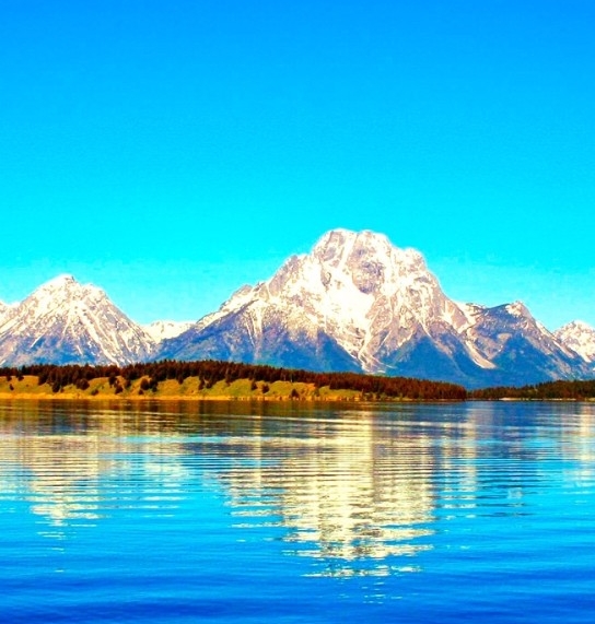 粉象生活邀请码填j7ztkj