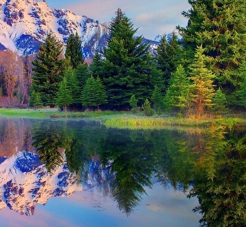 粉象生活邀请码填询319781选