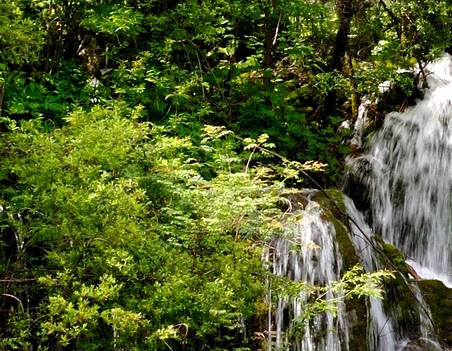 粉象啤酒为什么容易醉