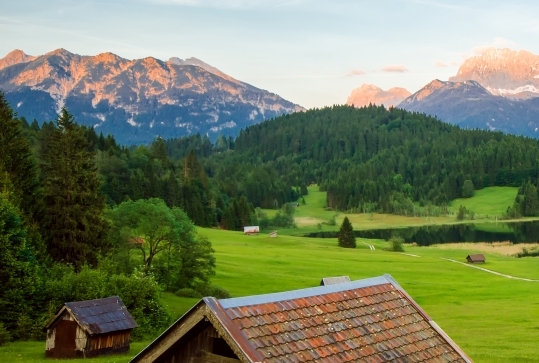粉象生活第一批邀请码