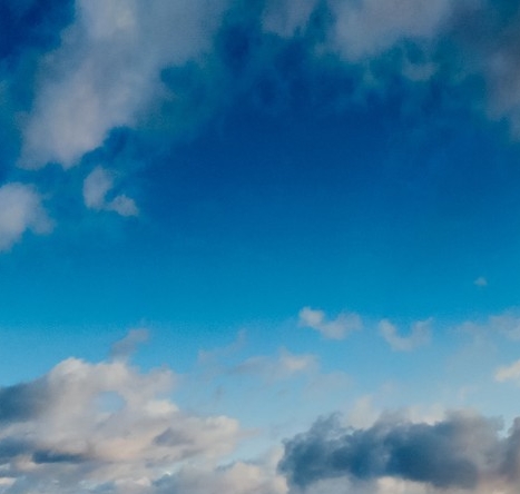 深圳有人做粉象生活吗