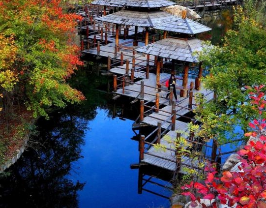 粉象一般人能喝几瓶