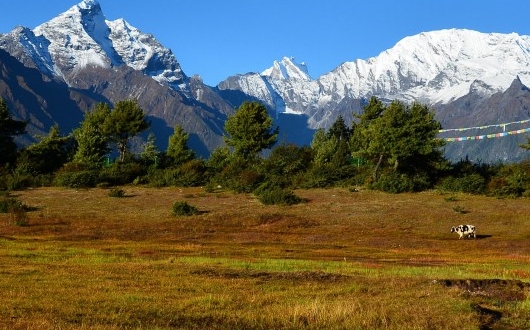 闪电盒子红包口令