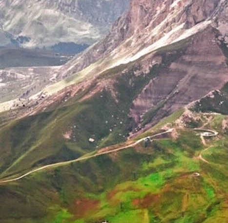 雷允上灵芝孢子粉官网