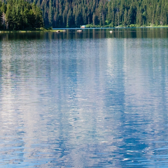 粉象生活vip有哪些权益