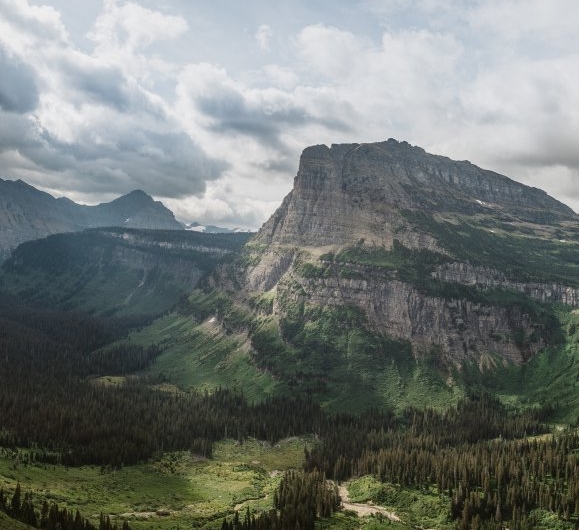 雷允上神象参粉