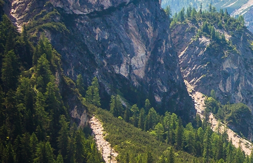 思购甄选秒杀赚佣金